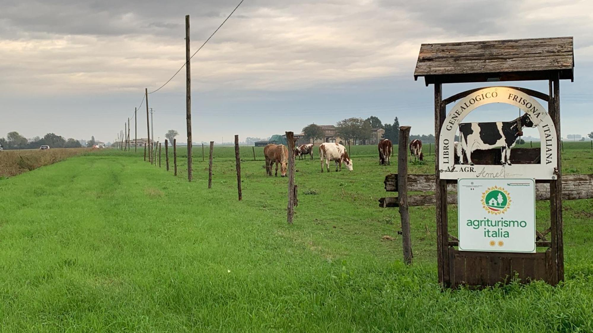 Fattoria Amelia Villa Santa Caterina  Kültér fotó