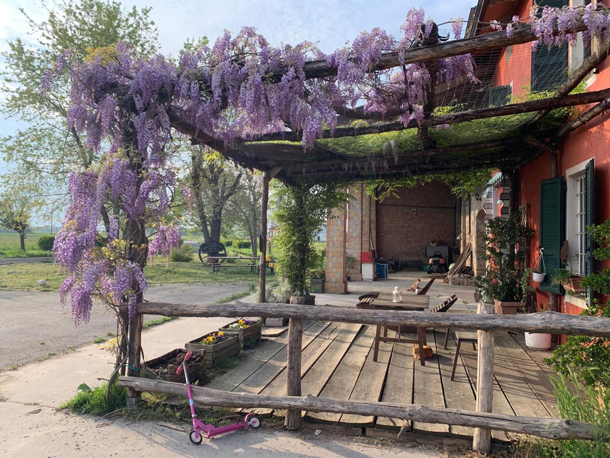 Fattoria Amelia Villa Santa Caterina  Kültér fotó