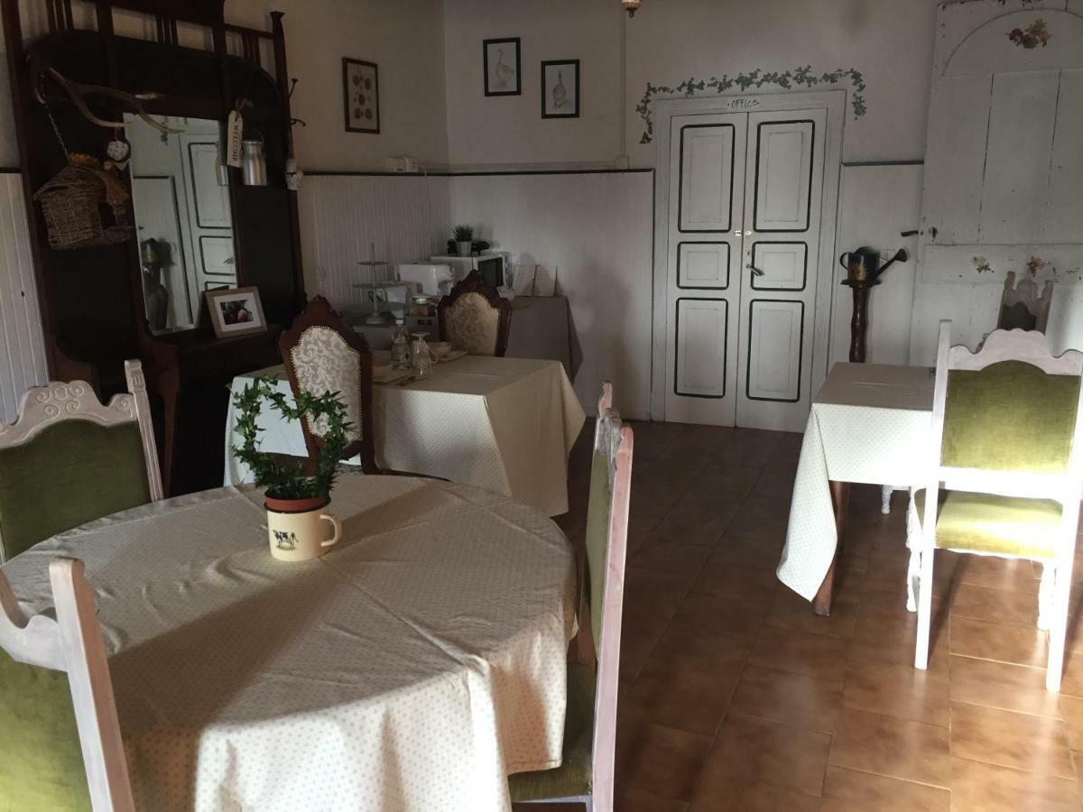 Fattoria Amelia Villa Santa Caterina  Kültér fotó