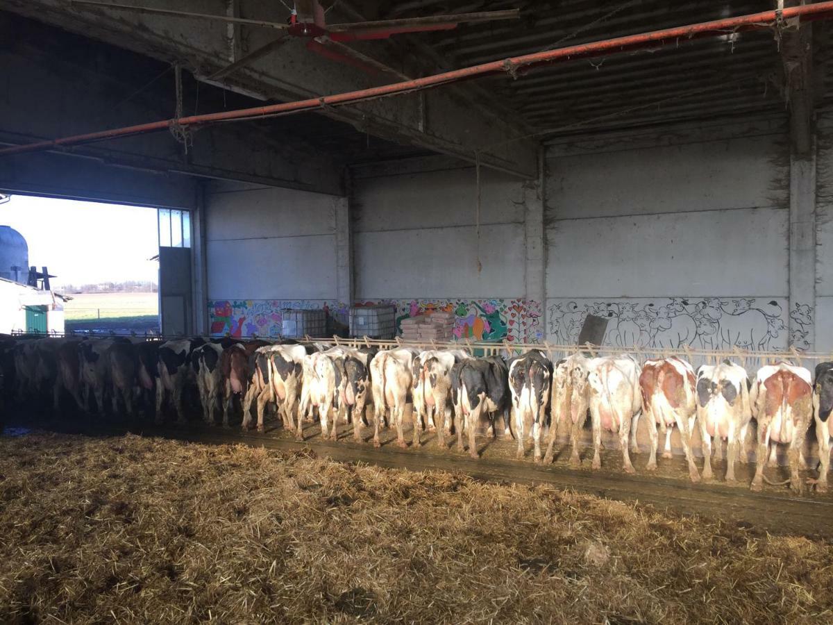 Fattoria Amelia Villa Santa Caterina  Kültér fotó